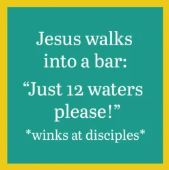 12 Waters Coaster-drinksonmecoasters Best