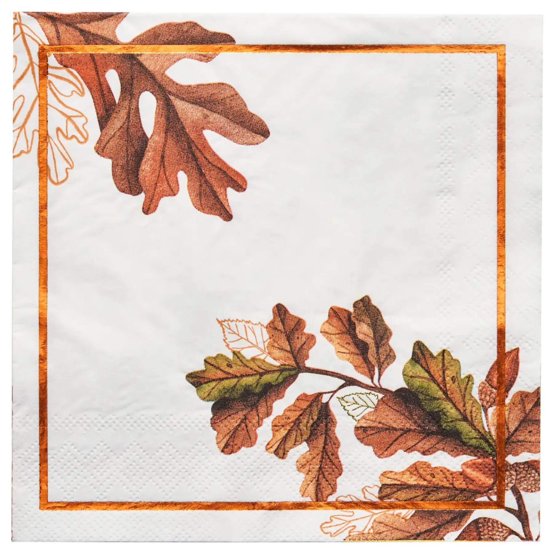 Acorn and Oak Paper Lunch Napkin/20pk-Sophistiplate New