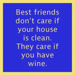 Clean House Coaster-drinksonmecoasters Sale