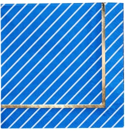 Cocktail Napkin Everyday Blue/20ct-Sophistiplate Hot