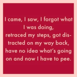 I Came, I Saw Coaster-drinksonmecoasters Online