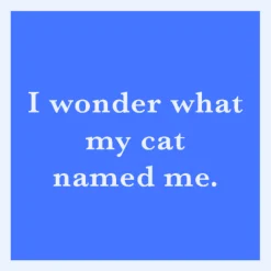 I Wonder What My Cat Named Me Coaster-drinksonmecoasters Hot