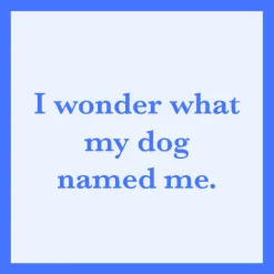 I Wonder What My Dog Named Me Coaster-drinksonmecoasters Sale