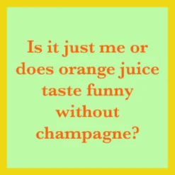 Orange Juice Coaster-drinksonmecoasters New