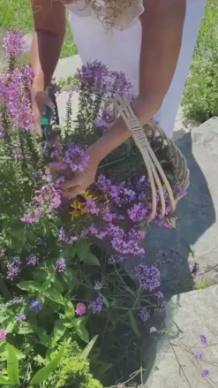 Simply Eco Salad Plate- French Blue/8pkg-Sophistiplate Online