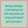 Teenager Cat Coaster-drinksonmecoasters Outlet
